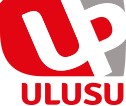 Ulusu Dalgıç Pompa