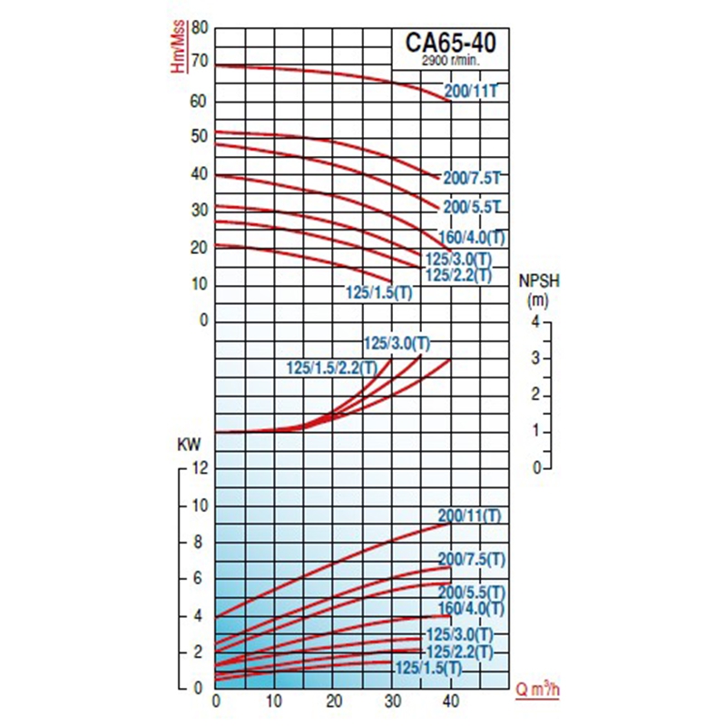 Varan CA65-40-125/3.0T Komple Paslanmaz Çelik AISI 316 Santrifüj Pompa