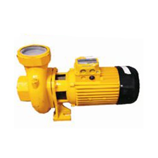 Vortex Cs 400 T 4 Hp Fanlı Santrifüj Pompa