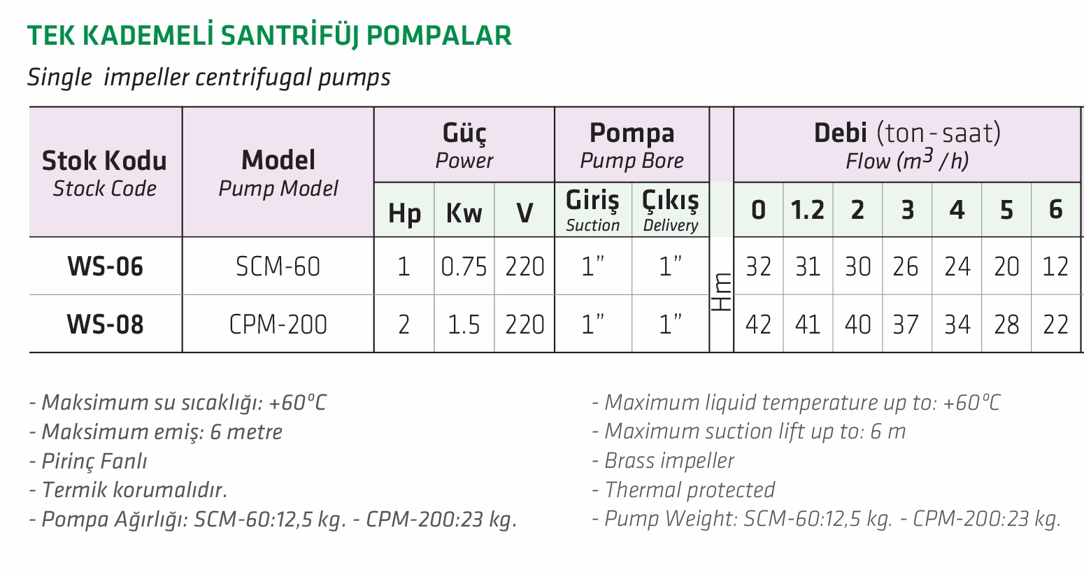 Water Sound CPM-200 2 HP Tek Kademeli Santrifüj Pompa