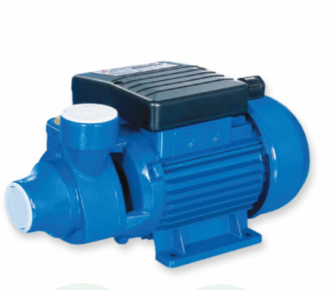 Water Sound IDB-40 0.5 HP SS 304 Krom Milli Periferik Pompa