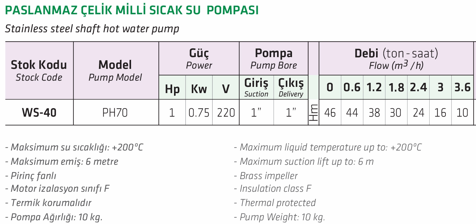 Water Sound PH70 1 HP Paslanmaz Çelik Milli Sıcak Su Pompası