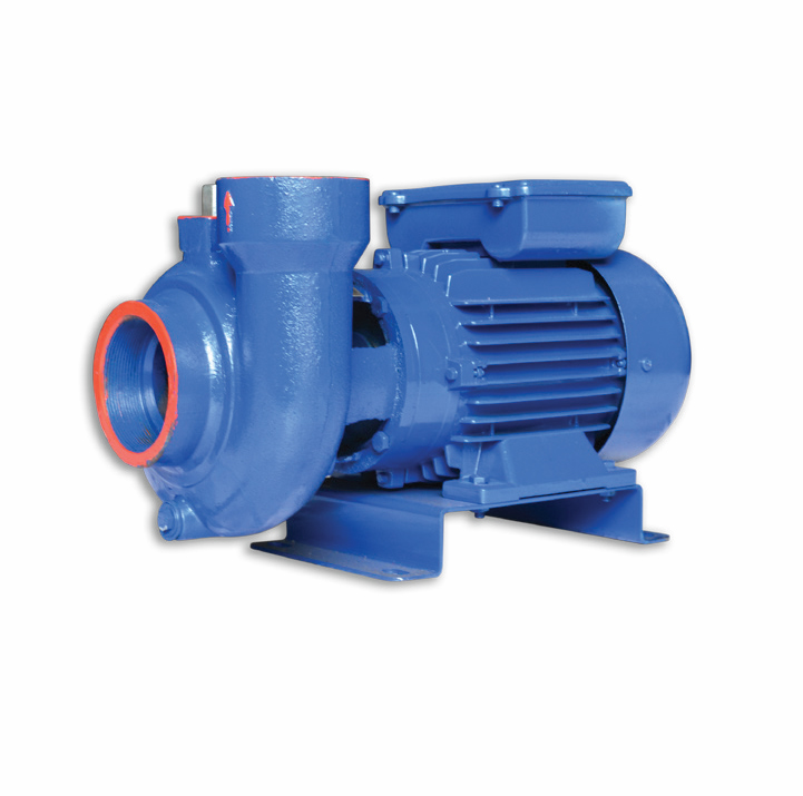 Water Sound WSY322 3 HP 220 V veya 380 V Santrifüj Pompa